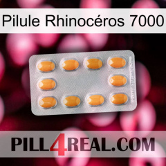 Pilule Rhinocéros 7000 cialis3